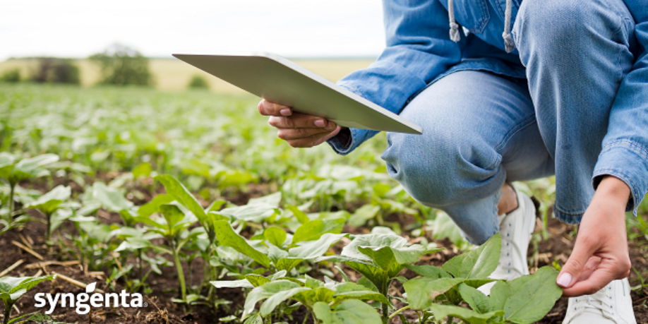 Innovación y tecnología: los pilares para lograr una agricultura productiva sostenible Revista Industria Alimentaria